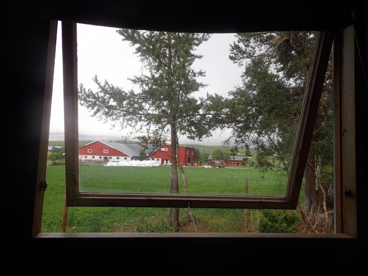 Hodalen Fjellstue Tolga Exterior foto